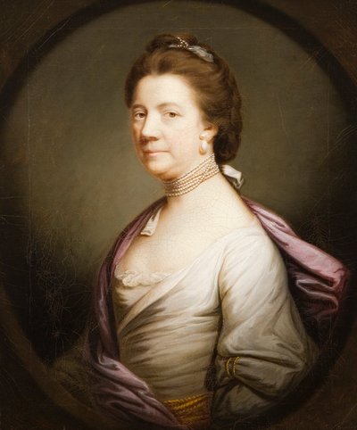 Ritratto di una signora in bianco da Joshua Reynolds